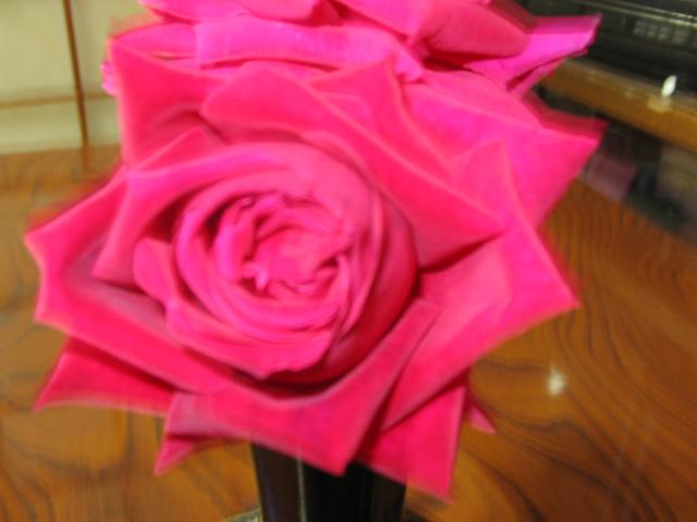 �N�����]���O���[���[�i���K�N�j�̃A�b�v��,�������������^�g���K�N�ł��D