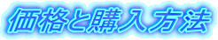 ���i�ƍw�����@